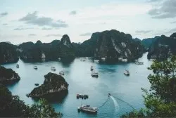 VIETNAM RIZIERE 2.webp